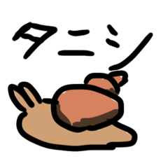 taniyoshi_20251221161556