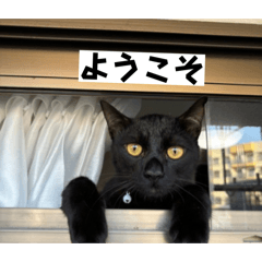 satoririri_20251221162441