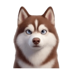 ZOFA : Fuffy Husky