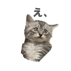 sisyamo1008@.6_20251221213402