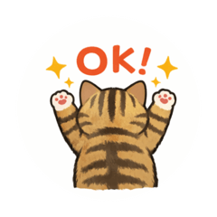 Kuromegu_20251221181059