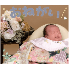 hanamaru_20251221182749