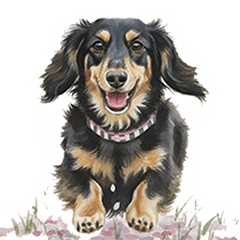 Daily Dachshund Stickers