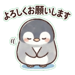 Mocchiri Penguin: Soft Polite Phrases