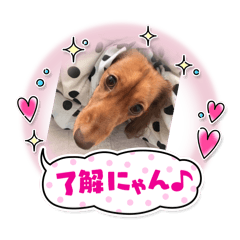 saorin_20251221185350