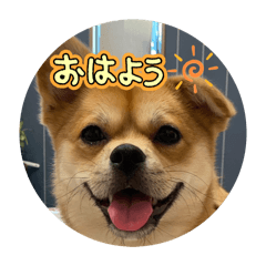 TOSHIKI_20251221185821