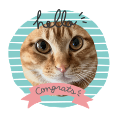 AMBER_20251221191031