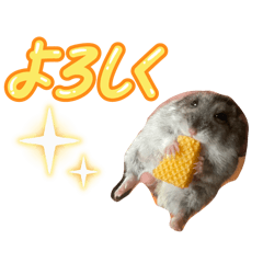 kanae_20251221222023