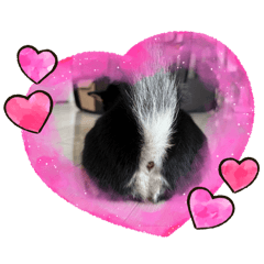 okayu_20251221232331