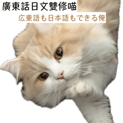 Cat Overlord Hiro (Cantonese - Japanese)