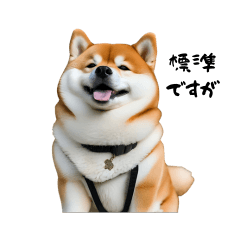 Cute dog stickers 1Q