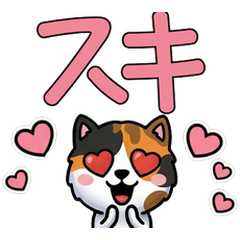 Anim. Overreaction Tortoiseshell Cat 4