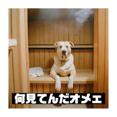 CHIKUWA_20251219193909