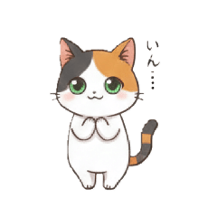 tomokko_20251219195854