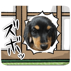 MATSU_20251221173456