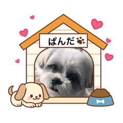 Pandamama_20251221172401