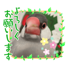 bunchiku_20251221171458