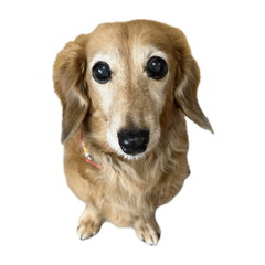 CHACO_20251221193627