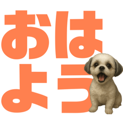 shinchan_20251219202431