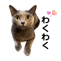 naporitan_20251221201628