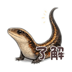 himitsubako_20251219213308