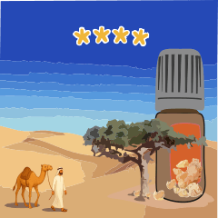 Amy's Wonderful Life III