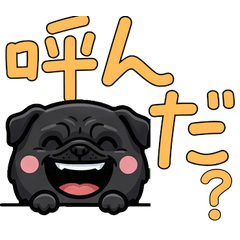 Overreaction Black Pug 3 Text