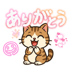 marin_20251219214642