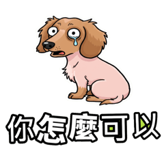 長毛臘腸lulu醬_「日常生活實用語1」