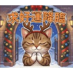 喵喵日常聖誕篇