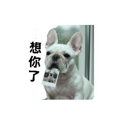 法鬥妹妹-日常系列