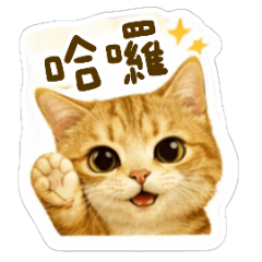 可愛橘貓表情包