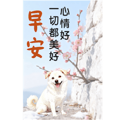 早安圖大禮包-拼貼版