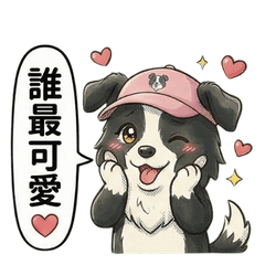 Border Collie banana