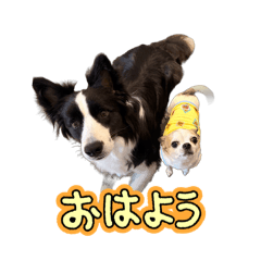 mi-tan!_20251221204921