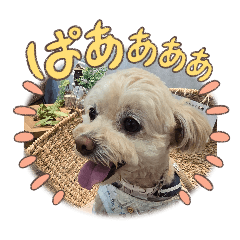 yumeko_20251221204030