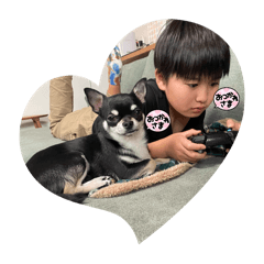 mochi_20251221205324