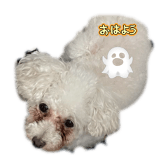 osuke_20251221184319