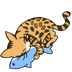 Bengal Cat Leo chan1