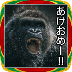 【正月】シネマティックゴリラ【年末年始】