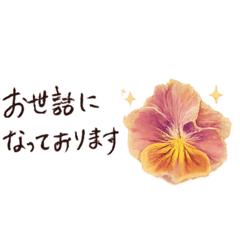 hanamaru_20251219224041