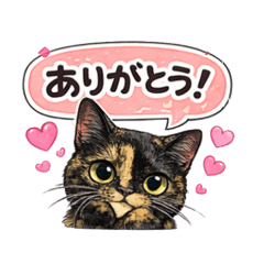 po po_20251219224254