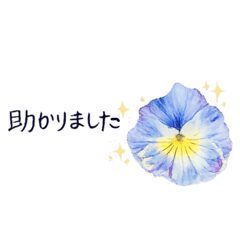 hanamaru_20251219230551