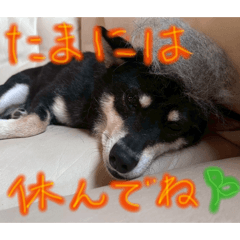 Himawari_20251219224309