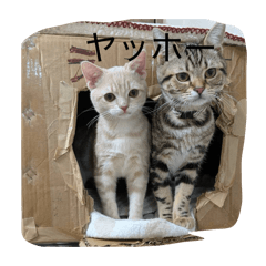 @mitsuha_20251221191638