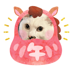 reinachan66_20251221192431