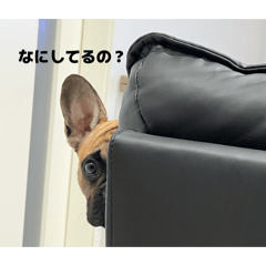 sanosuke_20251221192809