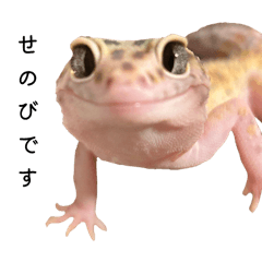 senobi_20251221195319