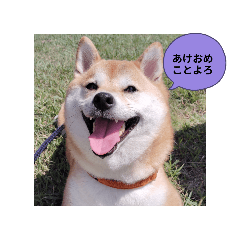 Shiho_20251221195934