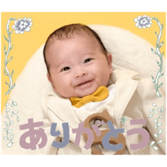 omipurin_20251221195414